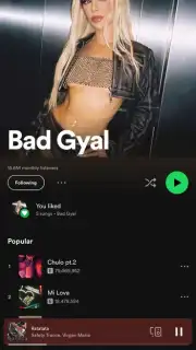 Spotify capture 5