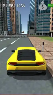 Car Simulator capture 6