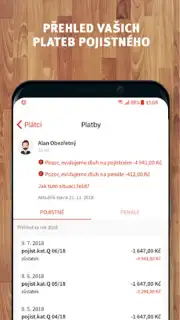 Moje VZP capture 4
