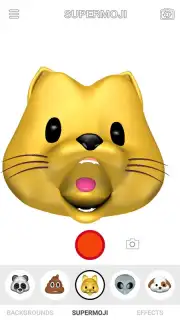 Supermoji capture 6