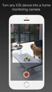 Manything capture 11