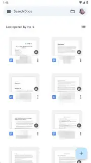 Google Docs capture 8
