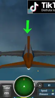 Airborne Simulator capture 1