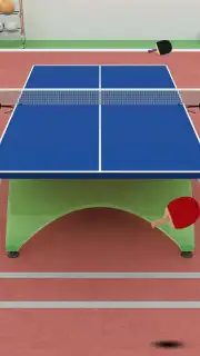 Virtual Table Tennis capture 2