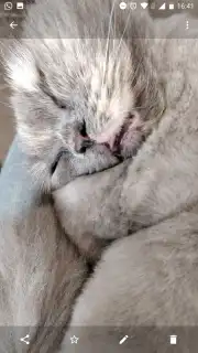 OnePlus Gallery capture 3