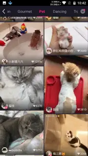 Meipai capture 10