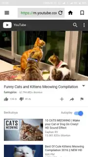X Web Browser capture 4