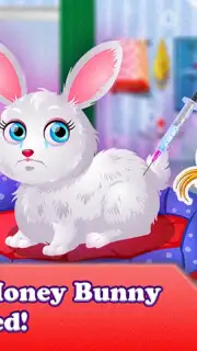 Baby Hazel Pet Hospital capture 10