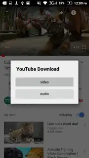 YouTube Download capture 2