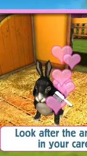 PetWorld: Animal Shelter capture 2