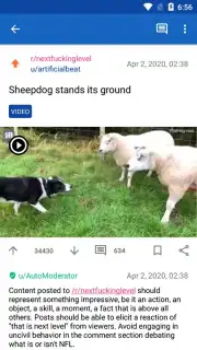 Infinity for Reddit capture 5