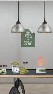 Grow Ops capture 12