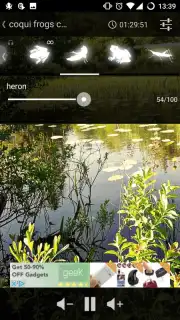 Lusity capture 3