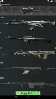 Gun Camera capture 11