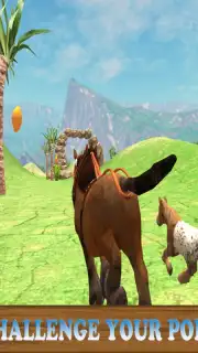 Pony Horse Simulator Kids 3D capture 9