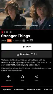 Netflix capture 2