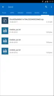 SHARE it File Transfer capture 5
