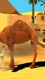 Camel Simulator capture 6
