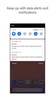Microsoft Power BI capture 5