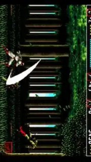 Sega Emulator capture 2