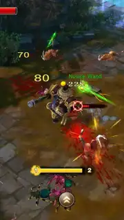 Taichi Panda: Heroes capture 5