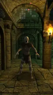 7 Mages capture 6