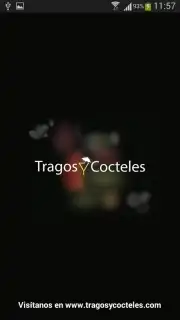 Tragos y Cocteles capture 8