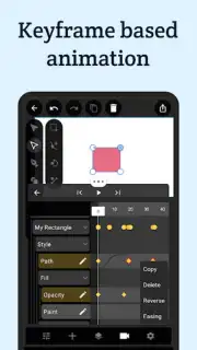 VectorMotion capture 4