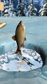 Winter Fishing 3D capture 6