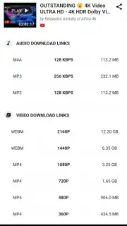 YVideo Downloader capture 4