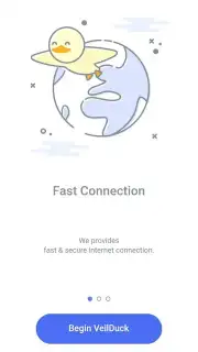 Veilduck VPN capture 6