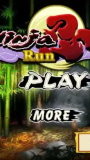 Ninja Run capture 4