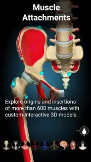 3D Anatomy Learning capture 2