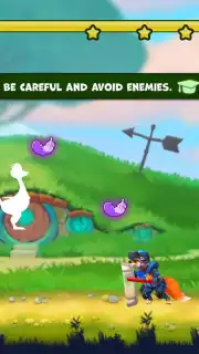 Wild Goose capture 2