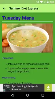 Summer Diet Express capture 7