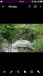 Smart Gallery - Photo Manager capture 3