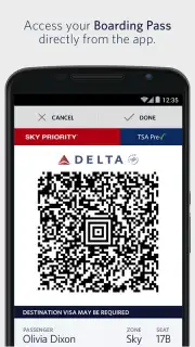 Fly Delta capture 3
