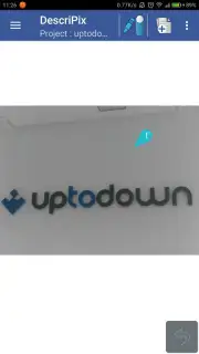 Describe with pictures capture 8