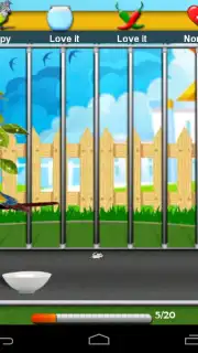 Parrot Pet Shop capture 8