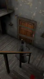Granny capture 2
