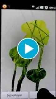 STEAMY живые обои capture 1