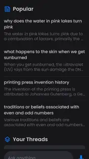 Perplexity capture 7