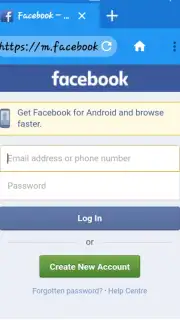 Fast browser W browser capture 3