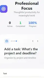 ToDo list profesinal capture 2