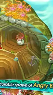 Squids capture 4