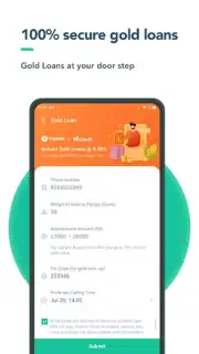Mi Credit capture 1