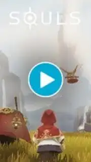 SOULS capture 1