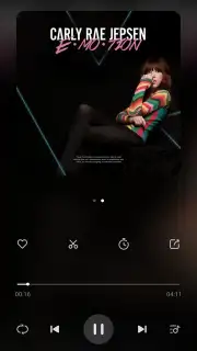 Mi Music capture 13