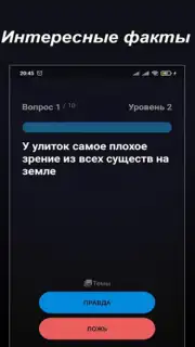 Правда или Ложь capture 5