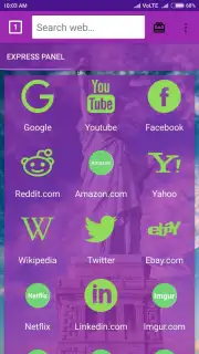 usa web browser capture 4